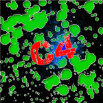 C4 Clan