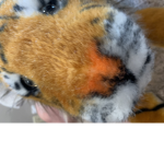 Tiger men