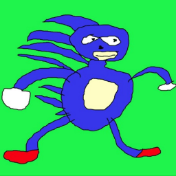 Sanic Run