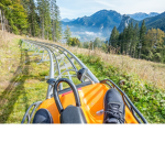 alpine slide