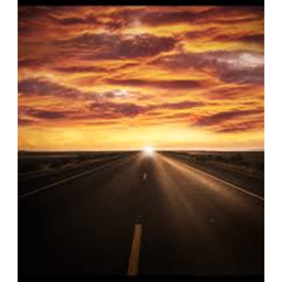 [Never ending road] TEST