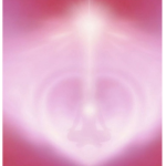 - k!nn -
