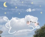 •~Cloudy Canvas~•