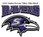 Raven's