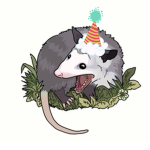 Possum party