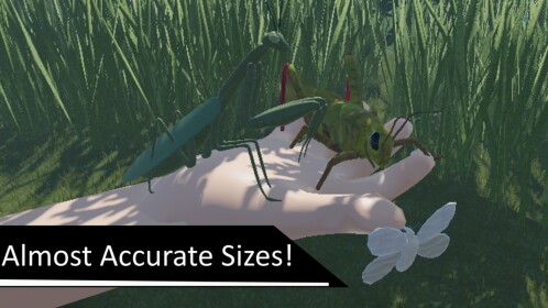 World Of Invertebrates