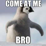 Penguins Hangout! :D