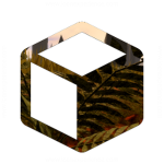 BlockTide