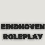 Dsi group Eindhoven Roleplay