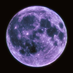 cheesetempura