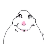 -555-