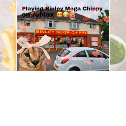 BINLEY MEGA CHIPPY