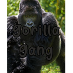 . gorilla gang .