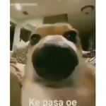Ke pasa oe