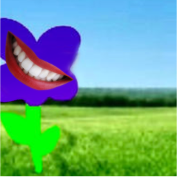 🌺