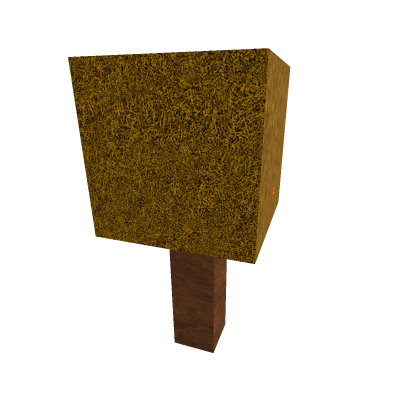 Autumn Tree