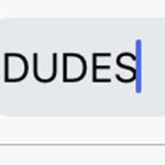 Dudesss