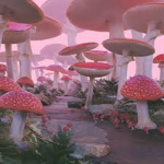 team..mushroom