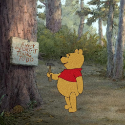bear