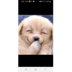안가온그룹