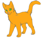22nika2013 cat lov