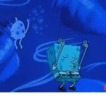 Poli_Ditto
