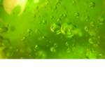 TeamGooey
