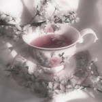 Le'Seraphine