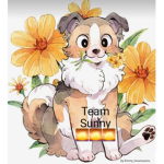 Team •Sunny•