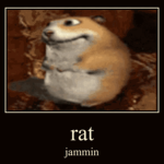rat jammin
