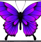 Butterfly hangout center