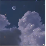 { !~Aesthetic Vibes~! }