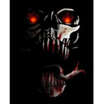 CZNnetwork
