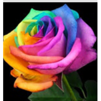 Alyssa's place! (maybe an hangout)