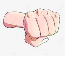 punching game.