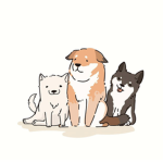-~Canines~-