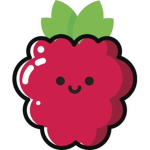 The Raspberry squad