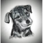 #TeamHonden!!!!!!!!!!