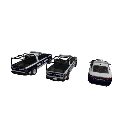 Mexico Federal Police
