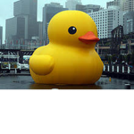 DUCKIE DA BEAST FAN GROUP