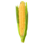 Corn Studios 2