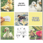 Ducklings aesthetics