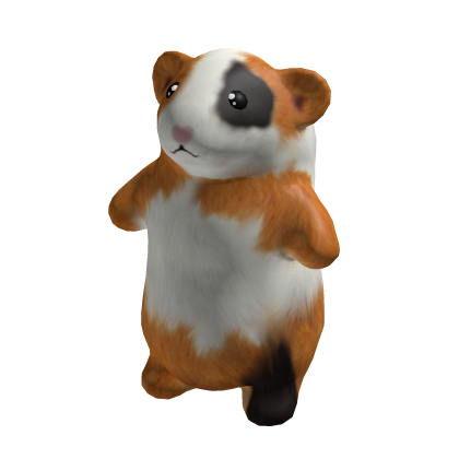 🐹 Guinea Pig Suit 🐹