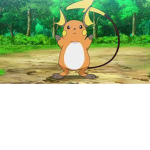 poke palls fan club