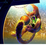 Basketballcat