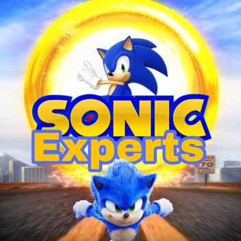sonic experts