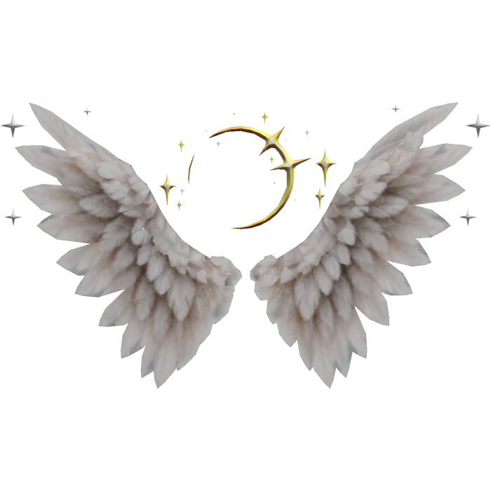 Celestial Aura Wings