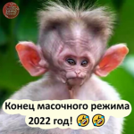 Polinarrra