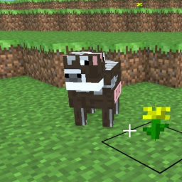 Mine Anarchy icon