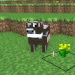Mine Anarchy icon